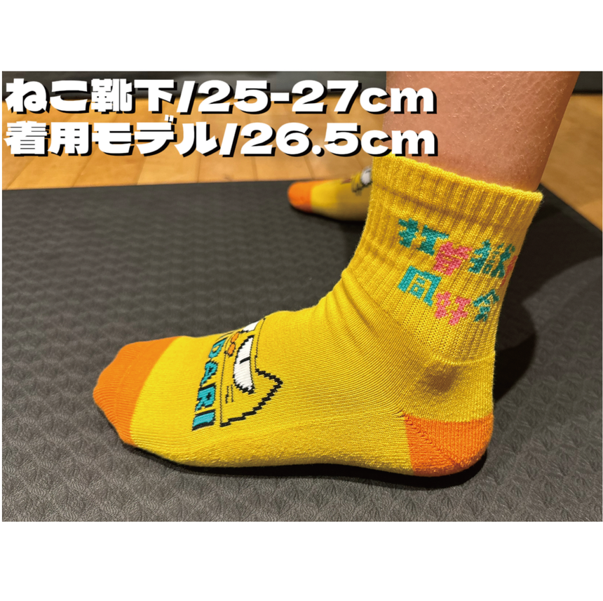 【完全受注生産!3/7(木)まで!】ねこ靴下